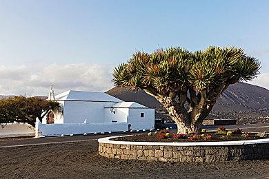 休闲冒险游戏《Onde》现已在Steam平台发售 支持中文